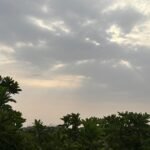 राजस्थान में बारिश के बादलों से ढका आसमान