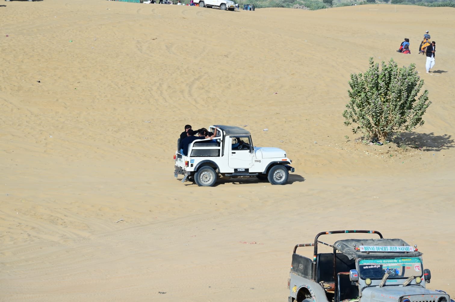 सैम सैंड ड्यून्स, जैसलमेर थार सफारी करते पर्यटक